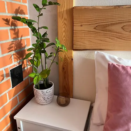 Appartement Liisupesa With Sauna And Garden